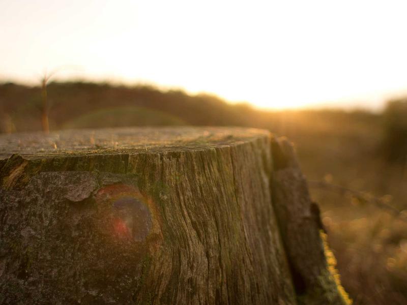 sudoku magazine section screenshot 1