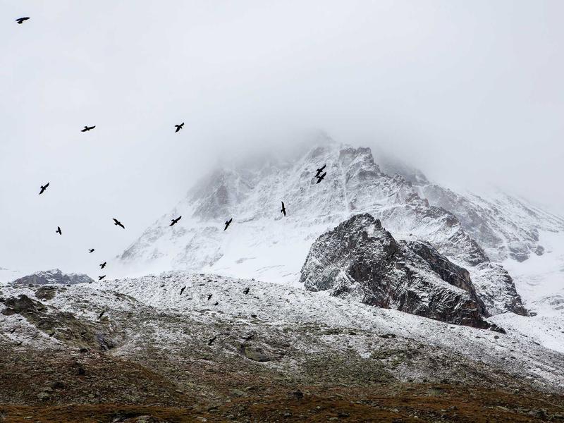 sudoku magazine section